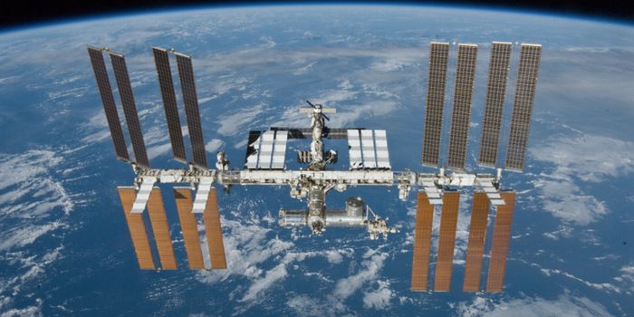 In Space, Bacteria Have Special Tactics to Avoid Antibiotics