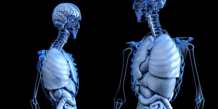 Investigating a New Target Against Esophageal Cancer