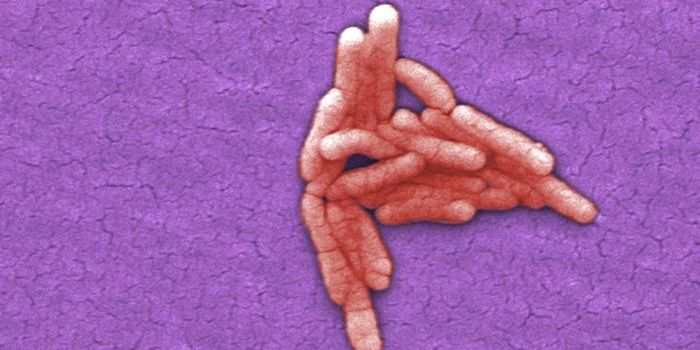 Tracing the Evolution of a Deadly Microbe