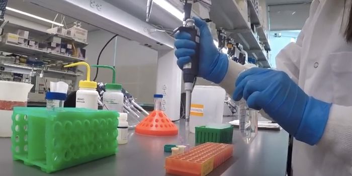 Evidence of Resistance to White-Nose Syndrome Appears in Some Bats