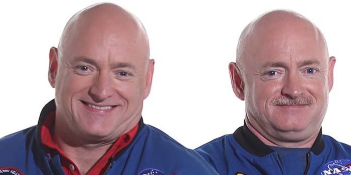 First Results From NASA's 'Year in Space' Experiment with the Kelly Twins Trickle Out