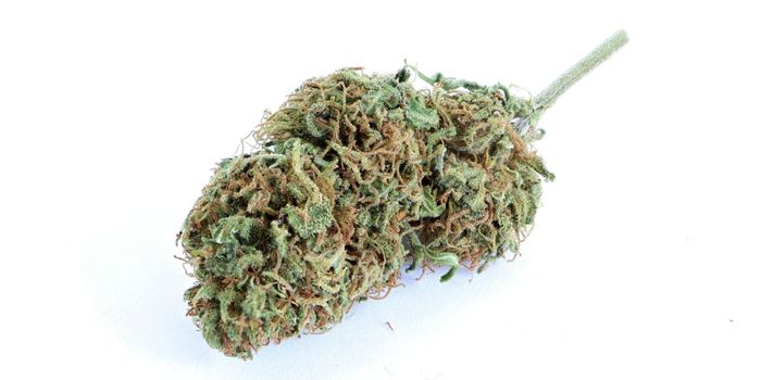 Smoking Weed May Cause Heart Problems, Study Finds