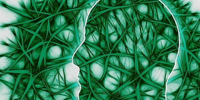 How Much Memory Can The Brain Hold?