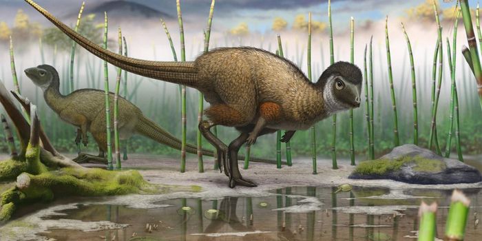 Did Dinosaurs Actually Roar?