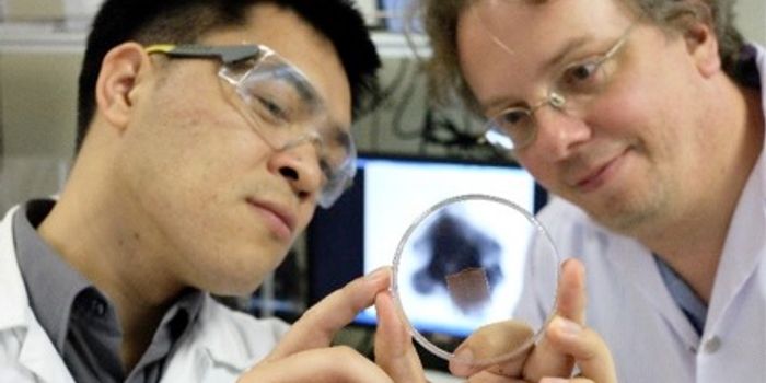 Magnetized Gas Bubbles for Targeted Cancer Drug Delivery