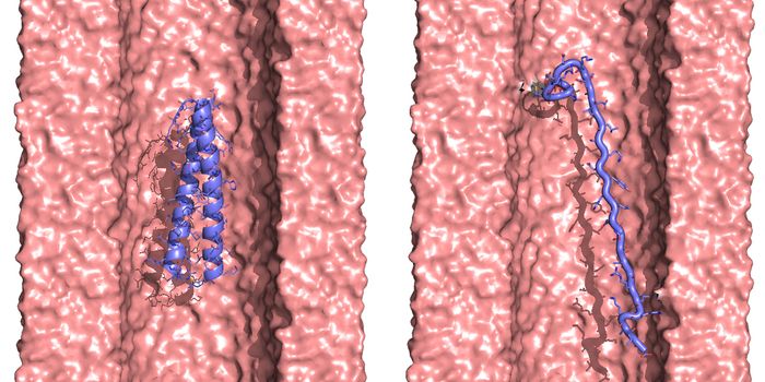 Revealing Protein Structure