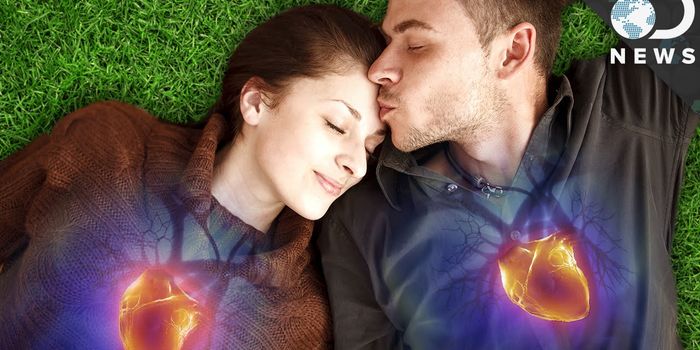 A Health Memo for the Holidays: Make Love Not War