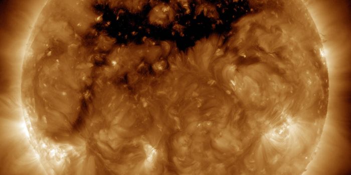 NASA Spots Large Coronal Hole on the Sun's Surface