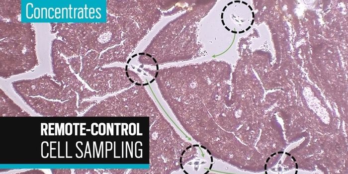 Microbots Show Promise for Advancing Single-Cell Tissue Biopsy