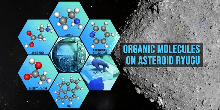 Organic Molecules on Asteroid Ryugu
