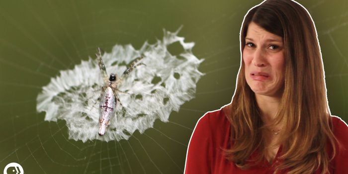 Here Are Three Animals That Use Their Feces to Survive