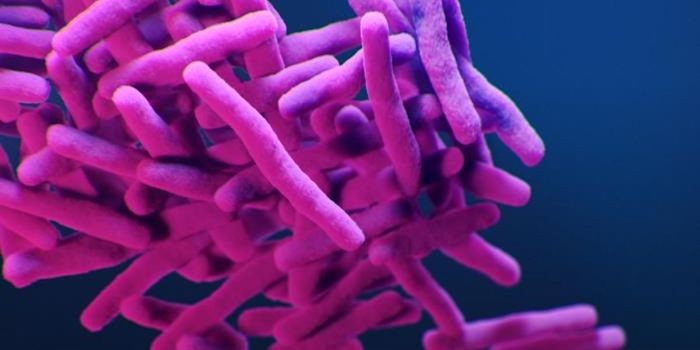 Tuberculosis Influenced the Human Genome