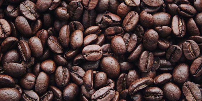 Caffeine May Lower Parkinson's Risk by 4-8 Times