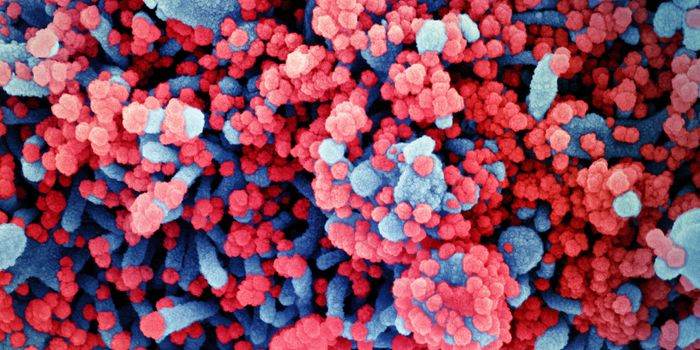 Oxford COVID-19 Vaccine Enters Phase 3 Clinical Trials