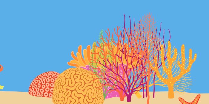 Here's Why We Need to Protect Coral Reefs