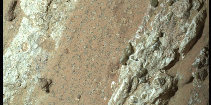 Peculiar Rock Found by NASA's Perseverance Rover Leaves Scientists Puzzled