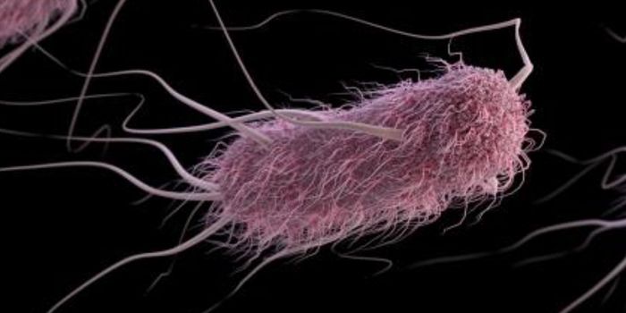 E. coli Has a "Super Pump" It Uses to Beat Antibiotics