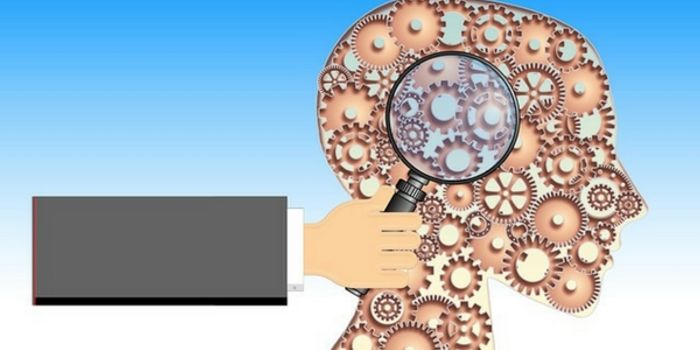 Connections in the Brain: It's All About the Astrocytes