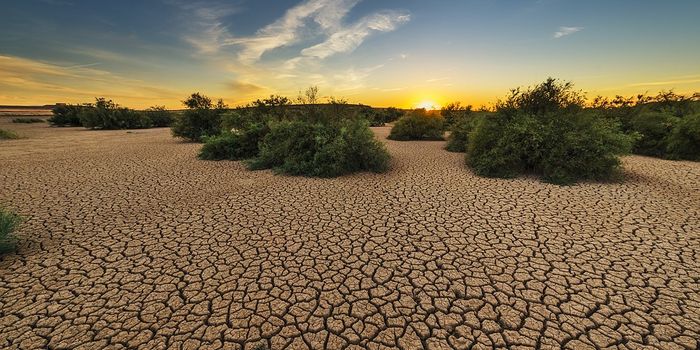 More precise climate forecasts could save millions of dollars