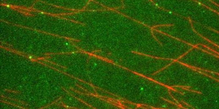 Revving the Nanomotor