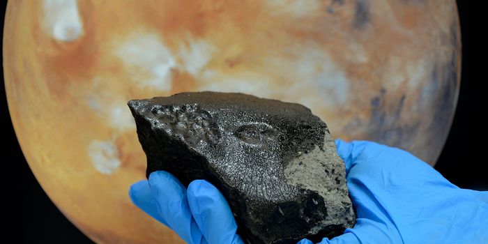 There's Something in the Sky! Organic Matter in Meteorite Linked to Mars
