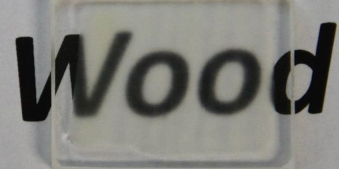 Scientists Create See-Through Wood