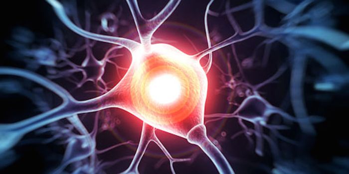 Good News for Alzheimer's and TBI: Light Activates Memories Lost to Amnesia