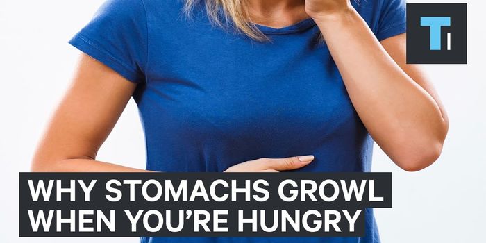 Why an Empty Stomach is So Noisy!