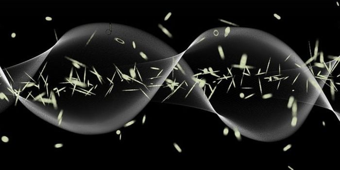 X-Linked Gene May Increase Women's Disease Risk