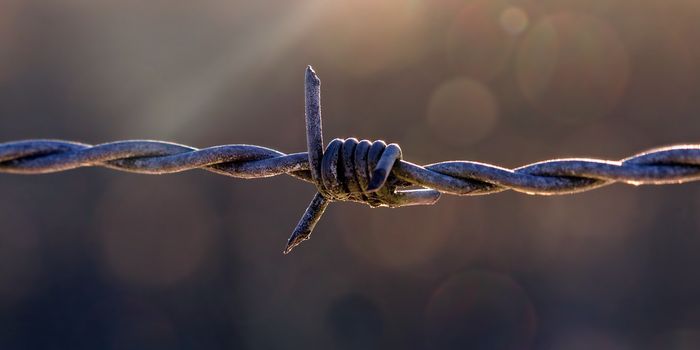 Natural HIV Resistance