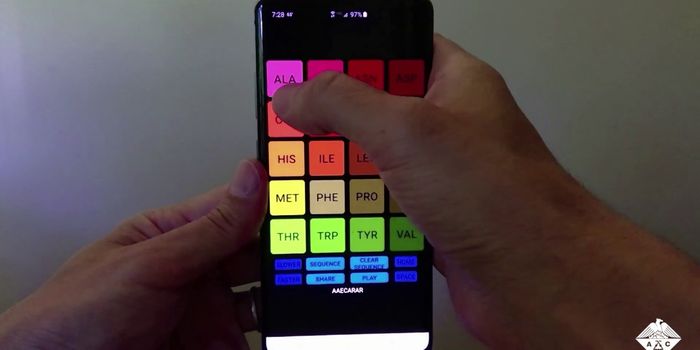 The Music of Proteins