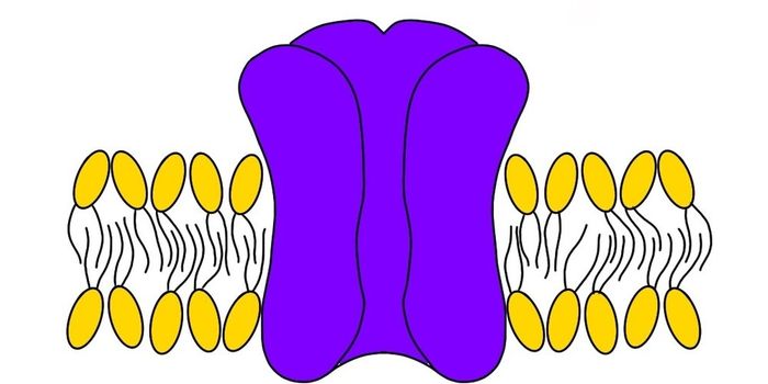 Therapeutically Active Ion-Channels