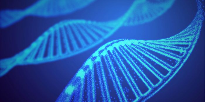 Exome-Enriched Single-Nuclei Isoform Sequencing