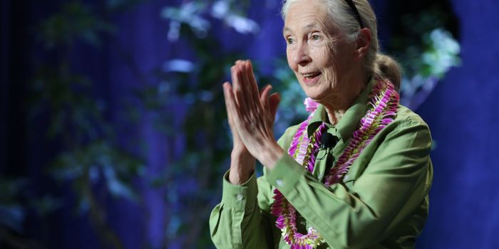 Jane Goodall speaks on the use of technology in conservation and modern zoos