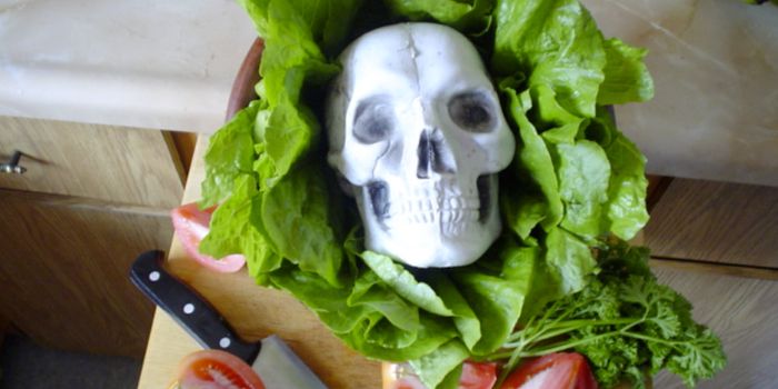 A Review of E. coli O157 Outbreaks From 2003-2012