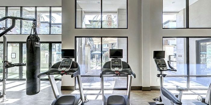 Exercise Stress Test Predicts Risk of Death and Heart Disease