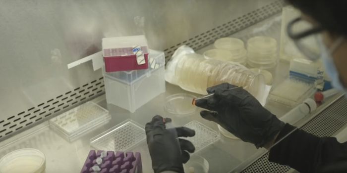 Ingestible Bacteria-Catcher Could Act as a Diagnostic Tool