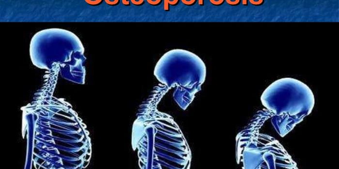 Blood Vessel Growth Promoting Factor May Treat Osteoporosis