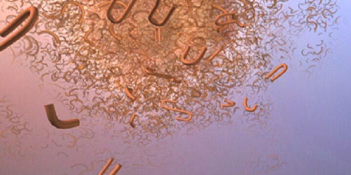 Alzheimer's Drug Slows Cognitive Decline