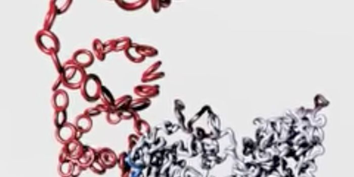 Packaging the Genome