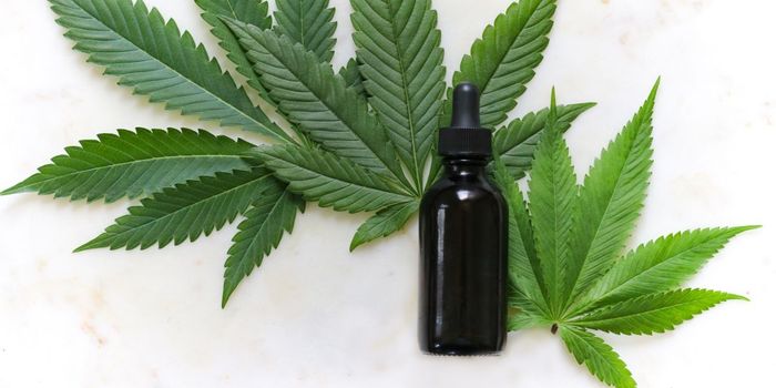 Which is Better for you: CBD or THC?