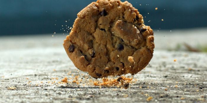 Is There a Such Thing as the "5 Second Rule" When Food Falls?