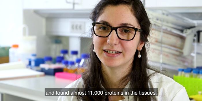 An Atlas of Human Skin