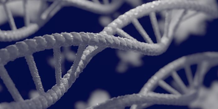 CRISPR/Cas9 Gene Editing can be Toxic to Cells & Disrupt Genome Stability