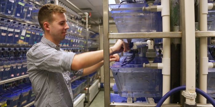 A Tour of the Johns Hopkins Zebrafish Facility