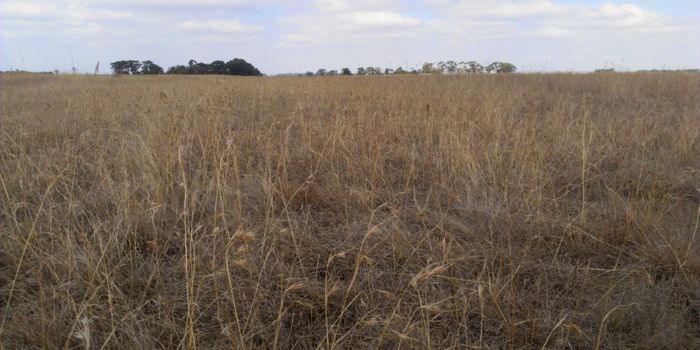 Atmospheric humidity impacts grasslands more than rain