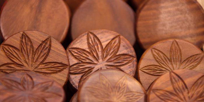 Medical Cannabis: Types of Consumption