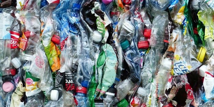 Plastic-Eating Cocktail Could Help Establish Infinite Recycling