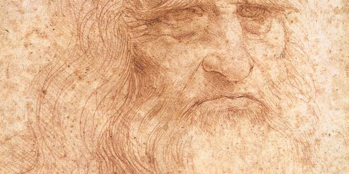 Are fungi to blame for da Vinci's spots?