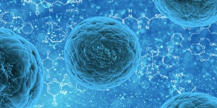 Microtubules Found to Act as Mechanosensors